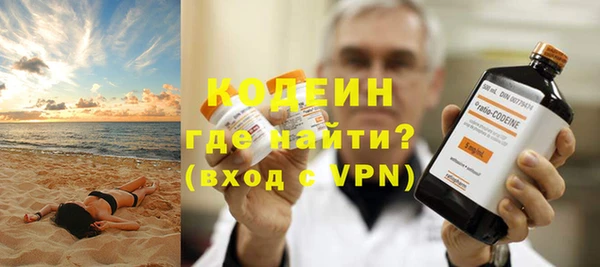 хмурый Алексин