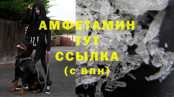 прущие грибы Алексеевка
