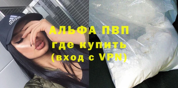 хмурый Алексин