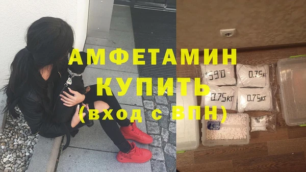 прущие грибы Алексеевка