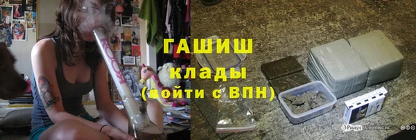 хмурый Алексин