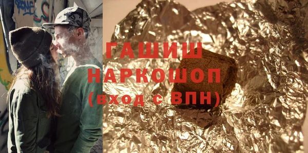 хмурый Алексин