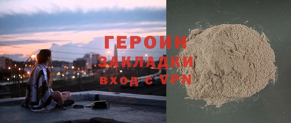 хмурый Алексин